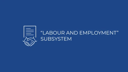 “Labour and employment” subsystem