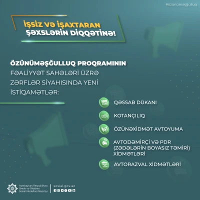 Özünüməşğulluq proqramının fəaliyyət sahələri üzrə  zərflər siyahısına yeni istiqamətlər əlavə edilib